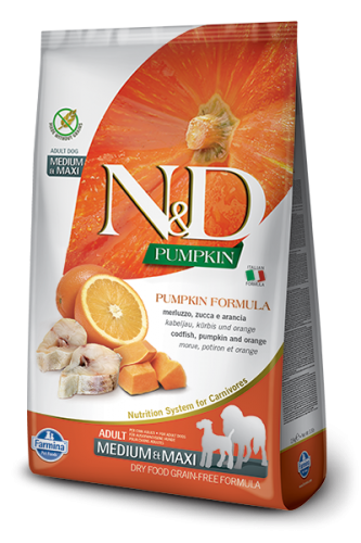 ND Pumpkin Medium Maxi Adult Codfish Orange.jpg